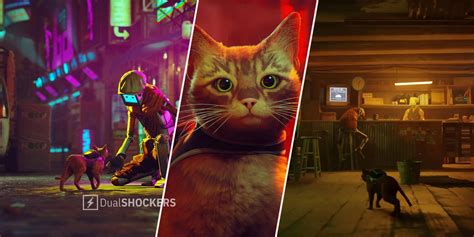 Stray: Release date, UK launch time and pre.